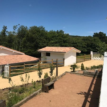 Longes Domaine Du Mont Monnet - Chambre D'Hotes & Gite المظهر الخارجي الصورة